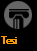 Tesi